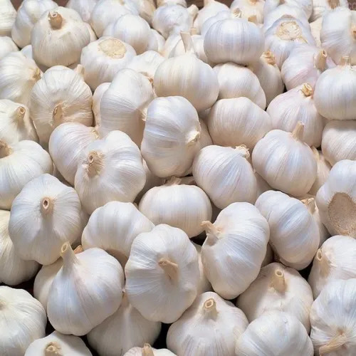 Fresh Natural Garlic