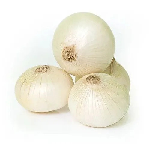 Fresh White Onion