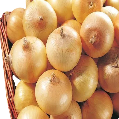 Fresh Yellow Onion