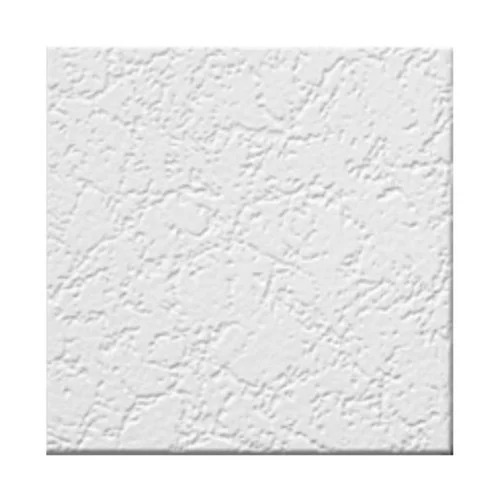 Acoustic Ceiling Tile
