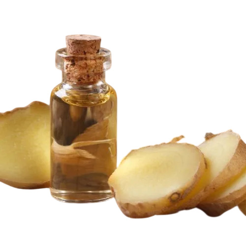 Organic Ginger Oil - Color: White