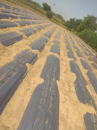 Agriculture Mulching Film