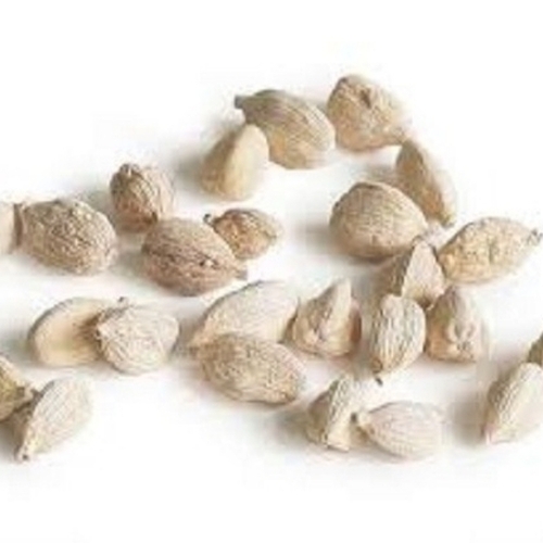 Cardamom
