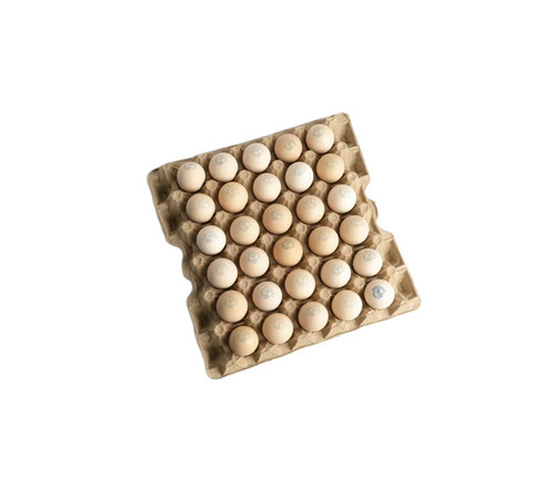 Country Chicken Egg