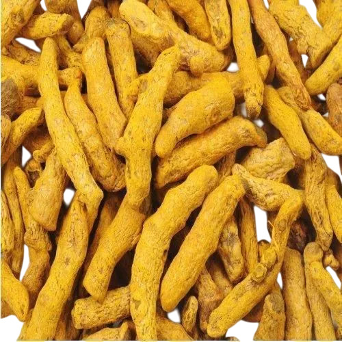 Double Polished Turmeric Finger