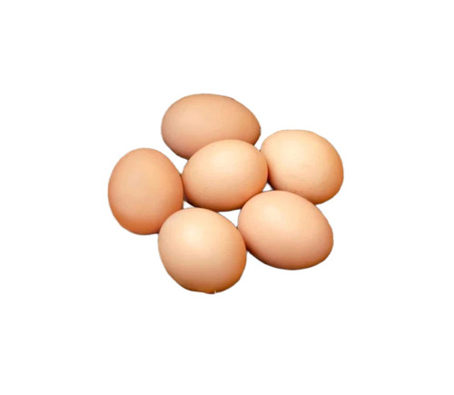 Kadaknath Egg