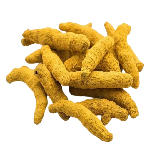 Natural Dry Turmeric Finger