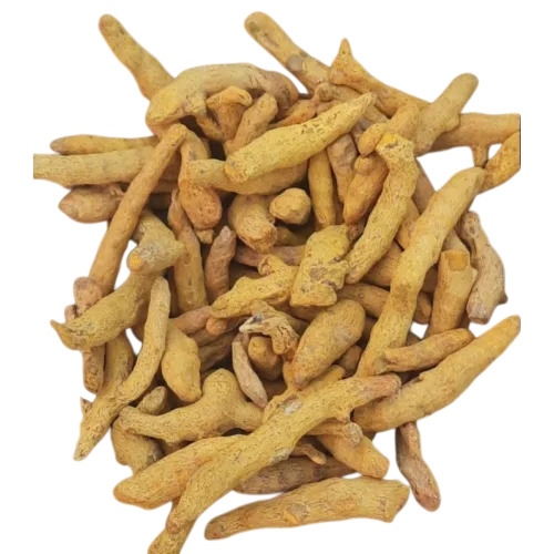 Raw Dried Turmeric Finger - Color: Yellow