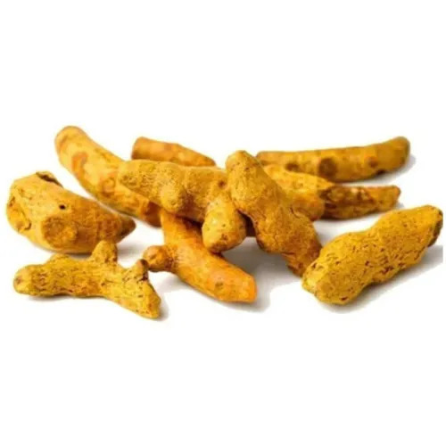 Single Polished Turmeric Finger