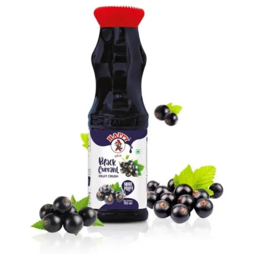 Black Currant Crush Fruit Drink