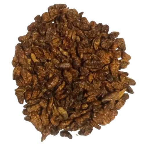 Dried Silkworm Pupae For Making Silk