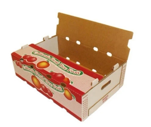 Fruit Packaging Box