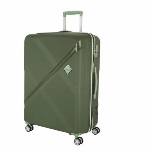 Green Luggage Trolley Bag