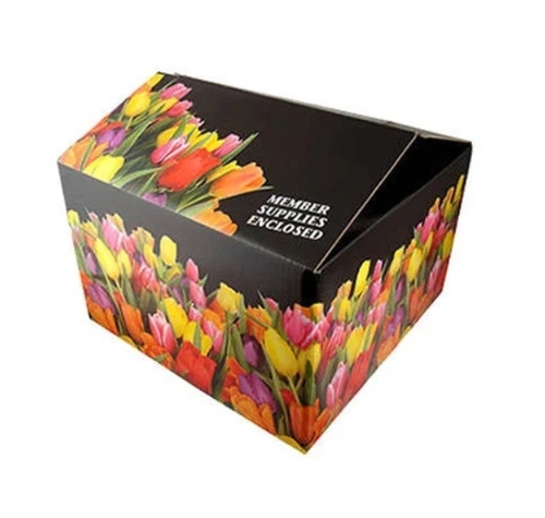 Multi Color Printed Packaging Box