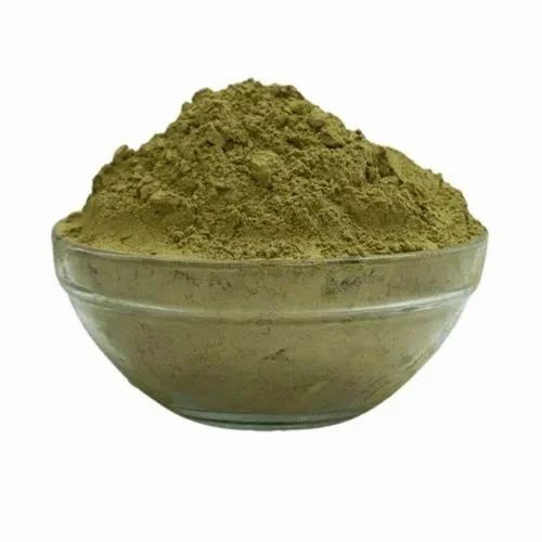 Organic Kalmegh Powder