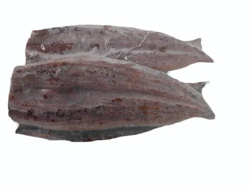 Japanese Frozen Unagi Eel Fish