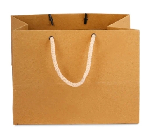 Plain Brown Paper Food Bag