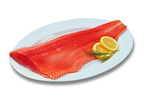 Salmon Fish Fillets