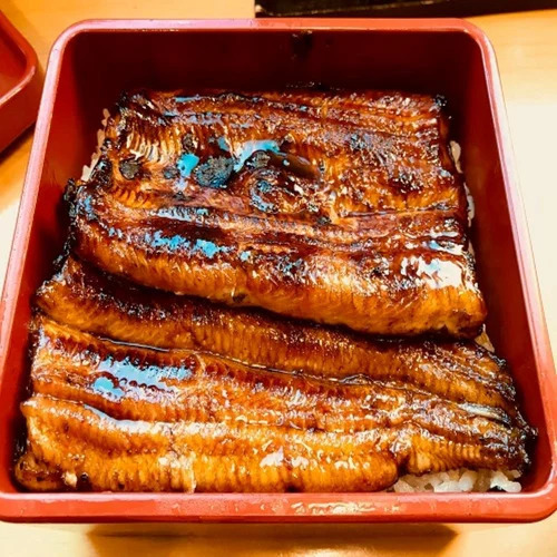 Seasoned Frozen Unagi Eel Fish