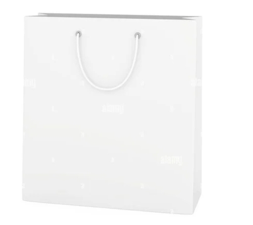 White Duplex Paper Carry Bag