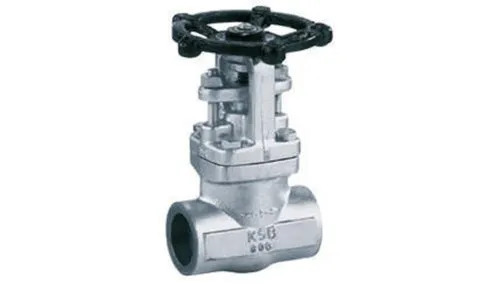 50 Mm Forged Gate Valve