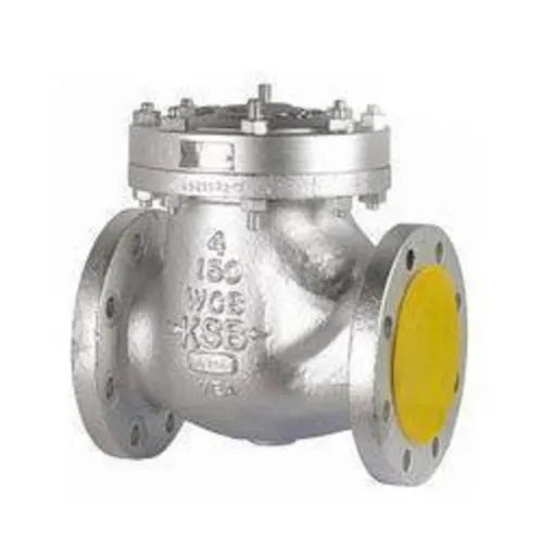Cast Iron Check Valve