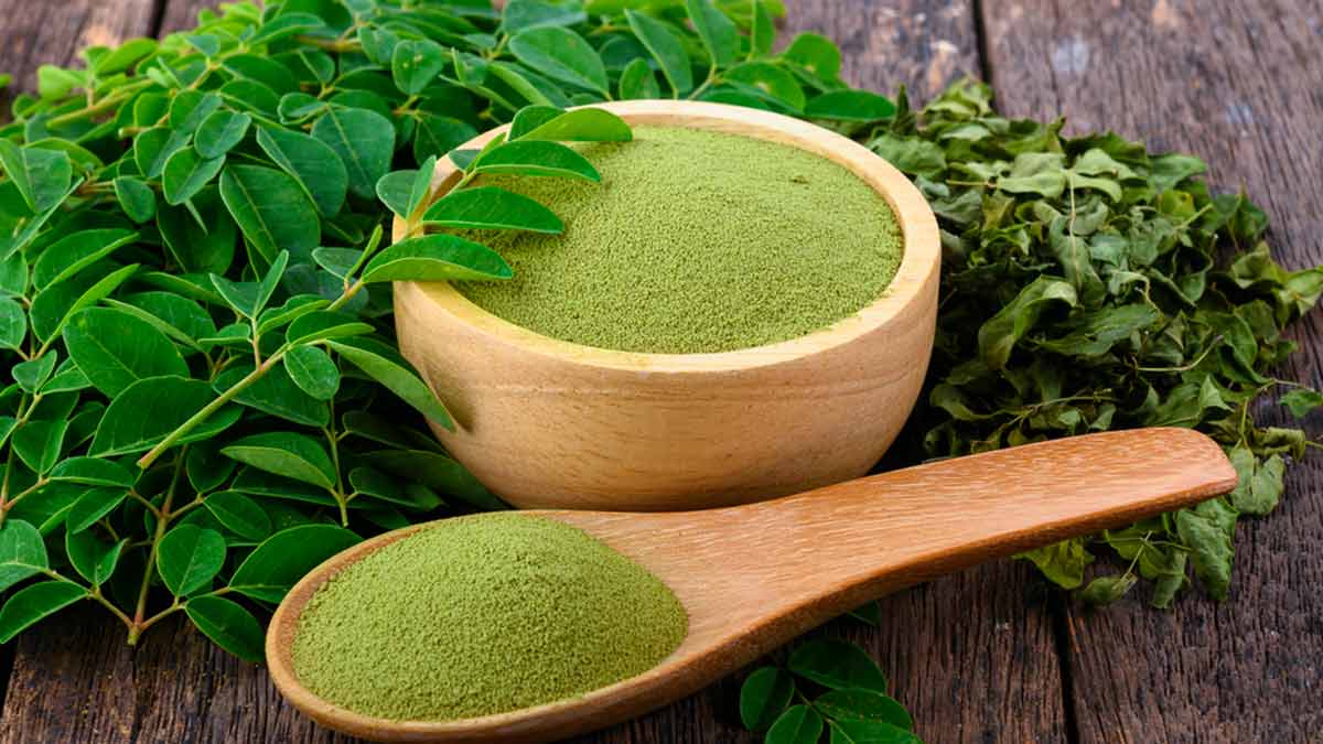 Organic Moringa Powder - Purity: 100%