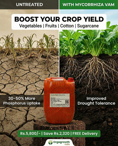 Mycorrhiza Vam Liquid Biofertilizer - Application: Agriculture