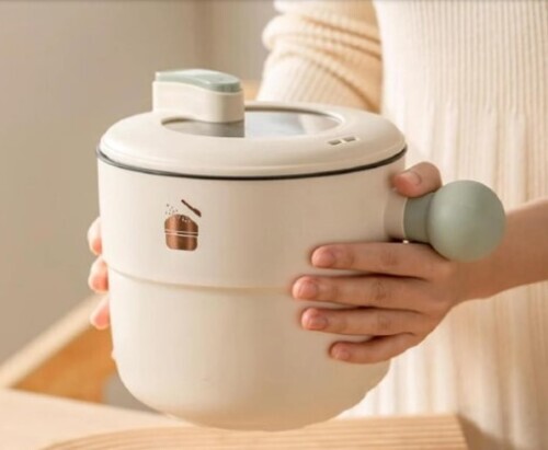 Electric Non Stick Multipurpose Cooking Pot