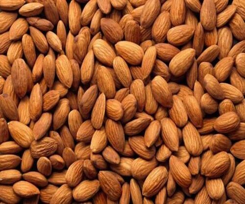 Fresh Almond Nut