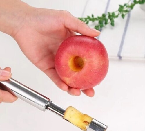 Stainless Steel Peeler Knife