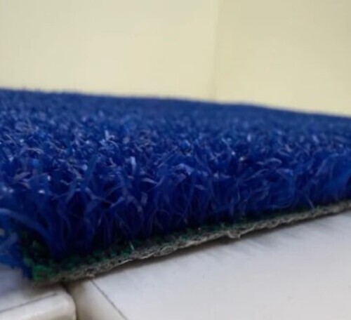 Cricket Multi Sports Turf