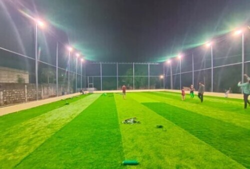 Cricket Box Nets