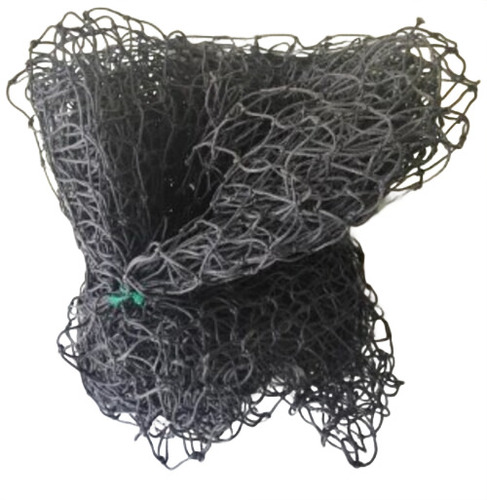Cricket Net