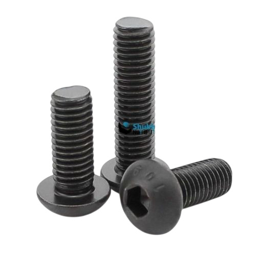 Stainless Steel Button Head Bolt