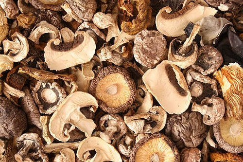 FRESD Dried Mushroom