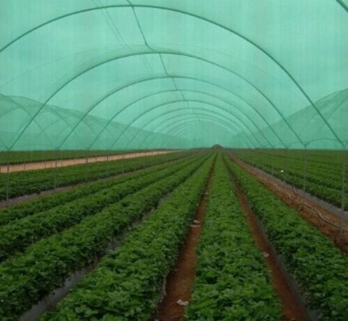 Green Agro Shade Net