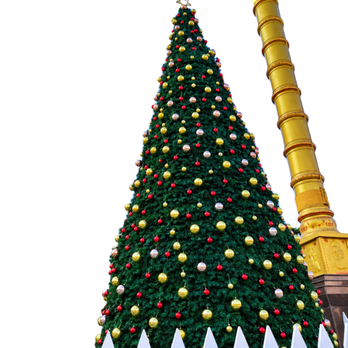 Majestic Giant Christmas Trees