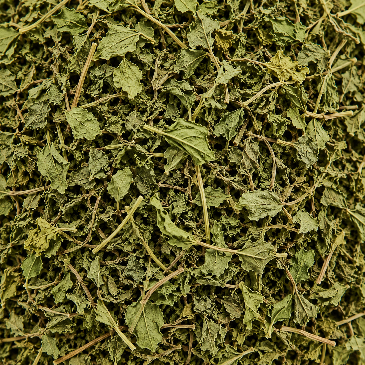 Premium Kasuri Methi - Color: Green