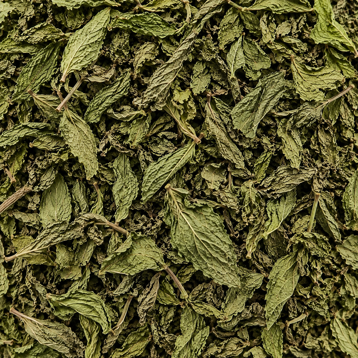 Dried Mint Leaves - Color: Green