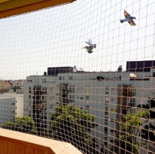 Pigeon Net For Apartments