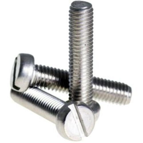 Silver Stainless Steel Bolt
