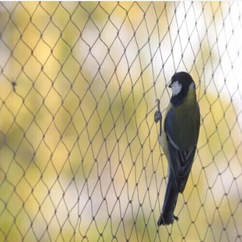 Balcony Anti Bird Net
