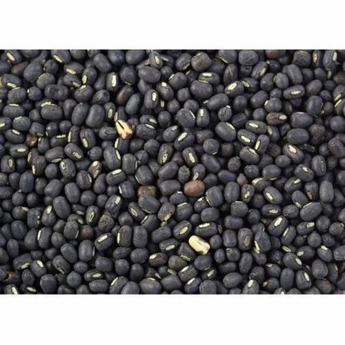 Black Urad Dal