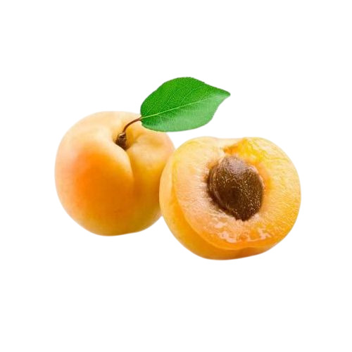 Fresh Apricot
