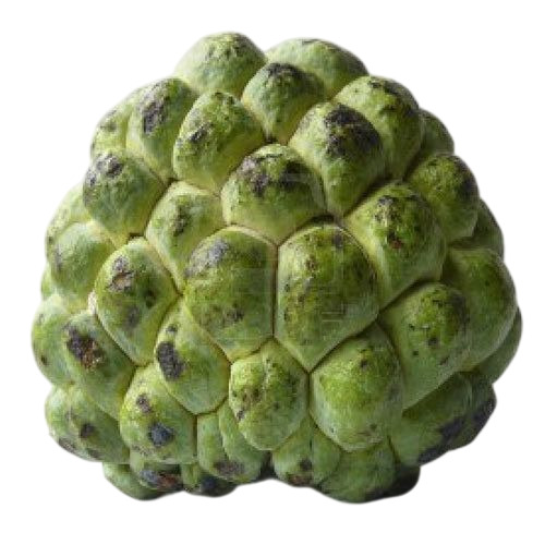 Fresh Custard Apple - Color: Green