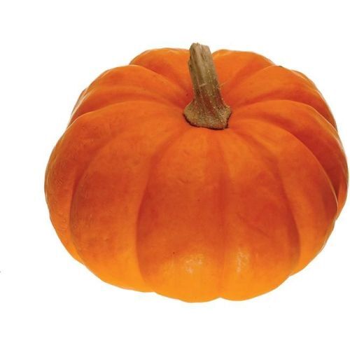 Fresh Pumpkin