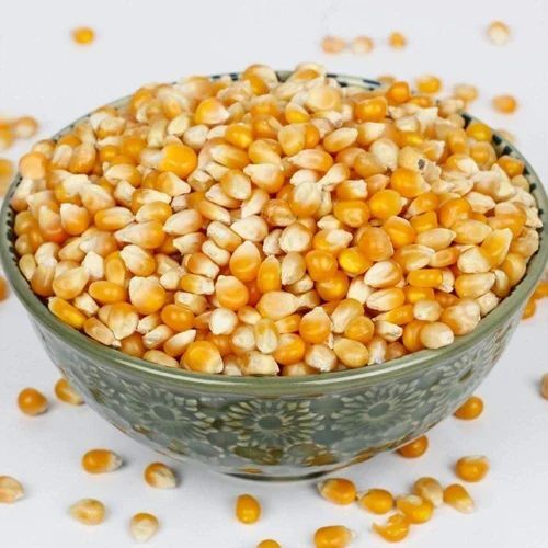 Natural Maize Grain