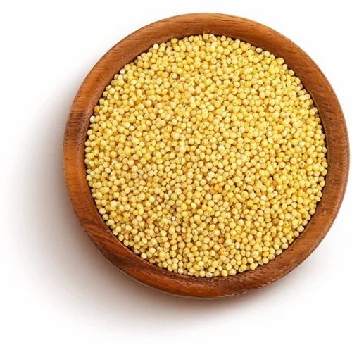 Organic Foxtail Millet