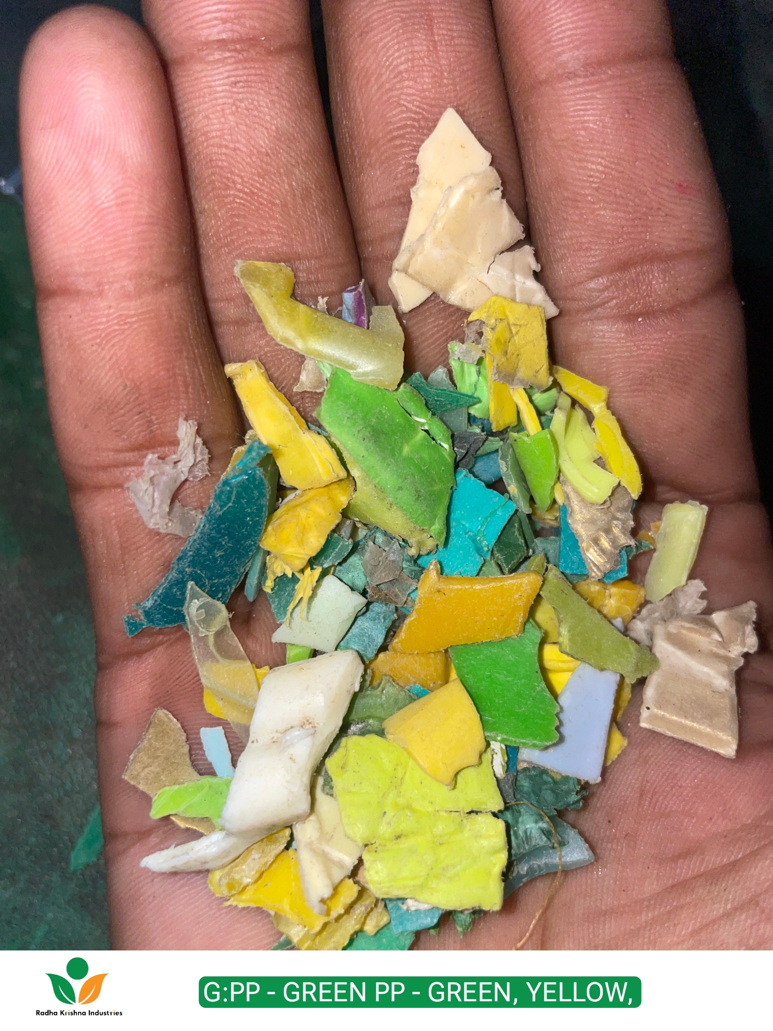 Washed Green Pp Grinding Scrap Chips